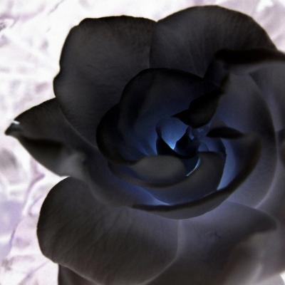 Do you know the hotel Espoir? Where many go missing part 1