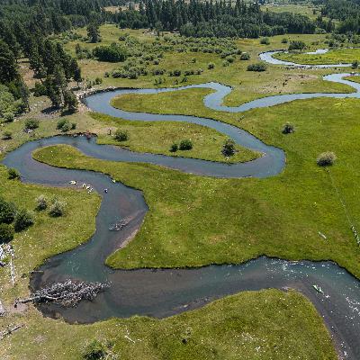 The Restorative Revolution: How Indigenous Leadership and Allyship Catalyzed the Biggest River Restoration in US History