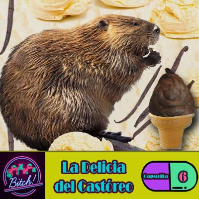 Capsulita 6 | La Delicia del Castóreo