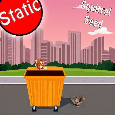 Squirrel Seed Squirrel Seed