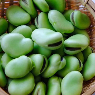 #157 そらまめはビールに最高！