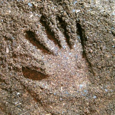 ADDBIBLE® Genesis 3 - The Fall of Mankind ADDBIBLE® Genesis 3 - The Fall of Mankind