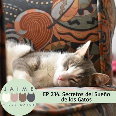 Ep 234 Secretos del sueño de los Gatos