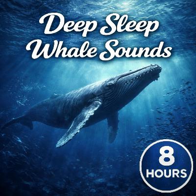 Whale Tones Beneath the Waves