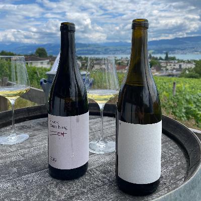 #3 / 1368 - Räuschling: A rare German grape variety today basically only grown in Switzerland