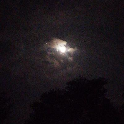 I call it hope (korey panne) I call it hope (korey panne)