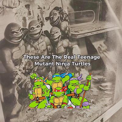 Project Shellshock: The Dark TMNT Origin Legend