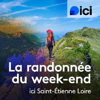 Randonnée enchantée : quand les ânesses mènent la danse à Valprivas