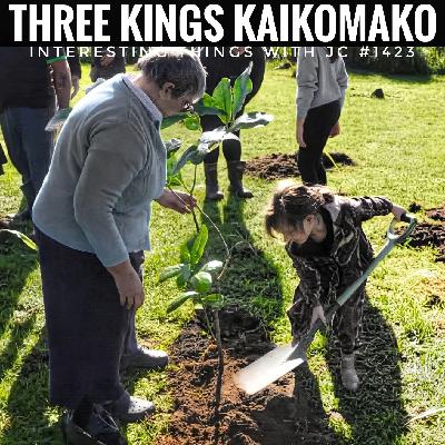 1423: "Three Kings Kaikomako"