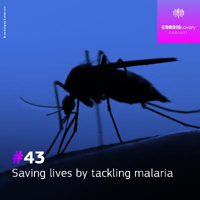Saving lives by tackling malaria