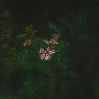 第一场春雨，化作我们刺身上的金箔