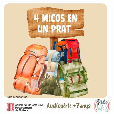 Cap.02 - 4 micos en un prat
