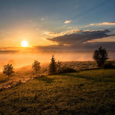 100NO 644: Timing, Excuses & Why Tomorrow Never Comes