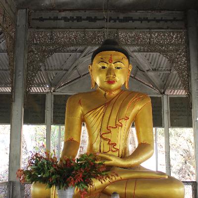 The Rocky Middle Path of Buddhism in America…