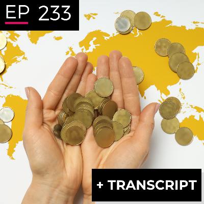 EP 233: From Occupy to Design Economics - Vinny Tafuro