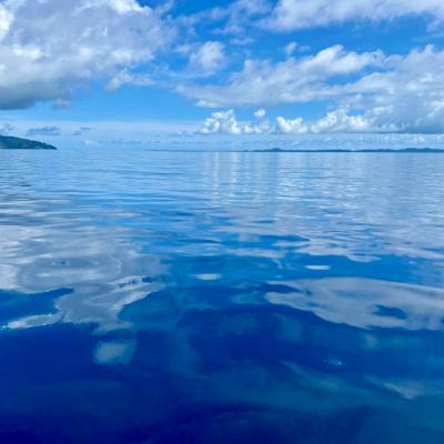 Ocean Calling