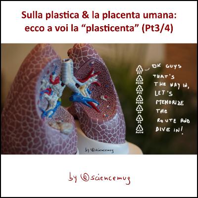 Sulla plastica & la placenta umana: ecco a voi la “plasticenta” (Pt3/4)