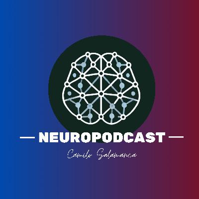 E8 ¿Cómo tomar mejores decisiones y mitigar los sesgos cognitivos?