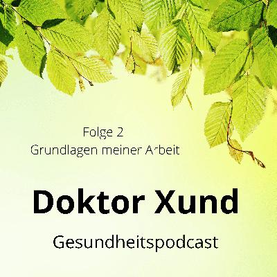 Grundlagen meiner Arbeit