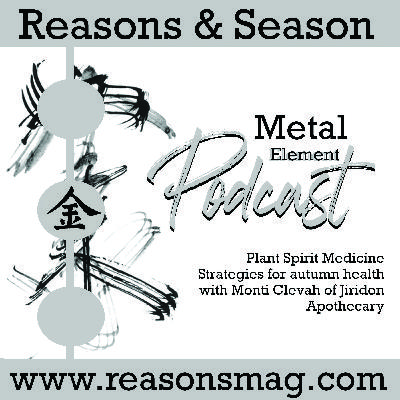 Herbal medicine strategies for autumn health Herbal medicine strategies for autumn health