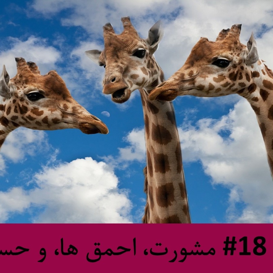 رادیو متروک - قسمت #18 : مشورت، احمق ها، و حسود ها