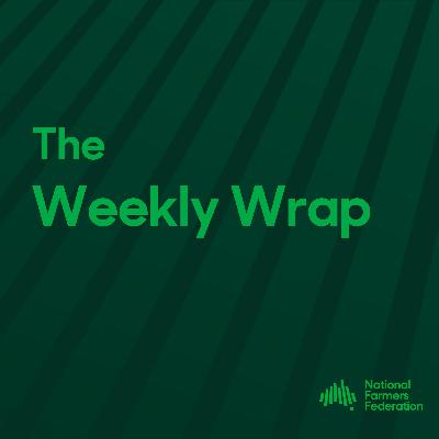 Episode 46: Towards 2030 with Tony Mahar Episode 46: Towards 2030 with Tony Mahar