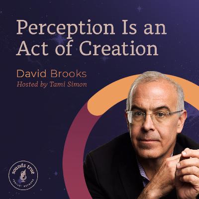 David Brooks: Perception Is an Act of Creation