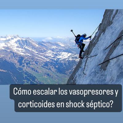 Cómo escalar los vasopresores y corticoides en shock séptico. Cómo escalar los vasopresores y corticoides en shock séptico.