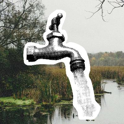 Where Did All the Water Go?