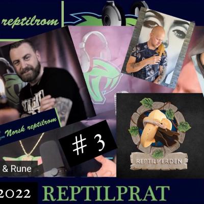 REPTILPRAT #3 REPTILVERDEN
