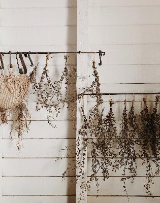 Advent 2022 Day 9 Advent 2022 Day 9