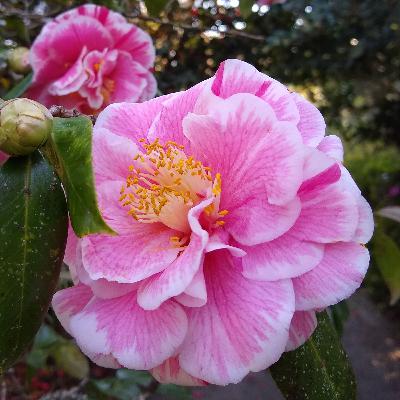 Chapter 20: Don't forget to pack the lube!