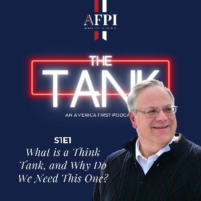 What is a Think Tank, and Why Do We Need This One? What is a Think Tank, and Why Do We Need This One?