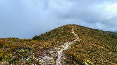 Inside the mind behind the TOUGHEST RACE in the lower North Island Inside the mind behind the TOUGHEST RACE in the lower North Island