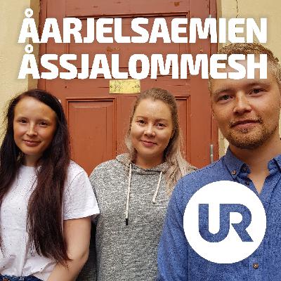 Voestes aejkien dåeredidh gåatan