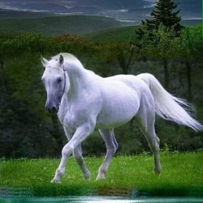 Estudio Bíblico de Deuteronomio y Mateo