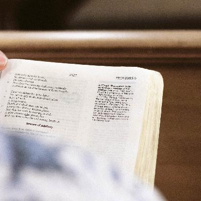Episode 73: A Proverb a Day: Proverbs 3 Episode 73: A Proverb a Day: Proverbs 3