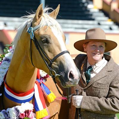 The Thinking Horse Breeder