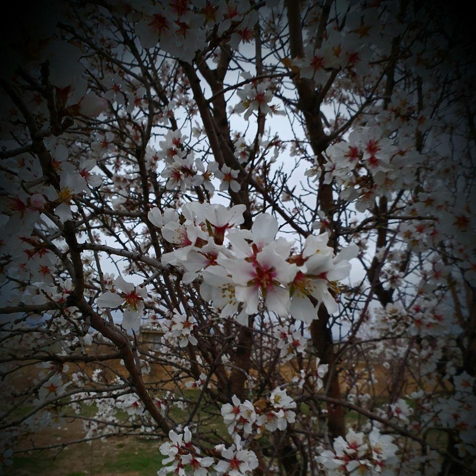 اپیزود دوم: مردی در کافــــــــه