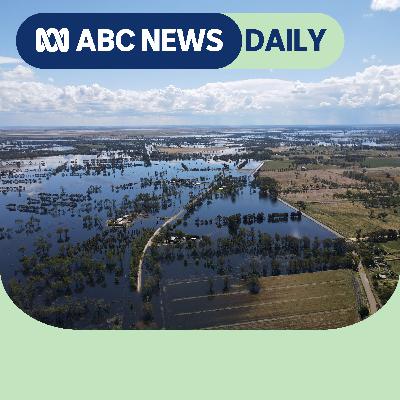 Alan Kohler on the new emissions target