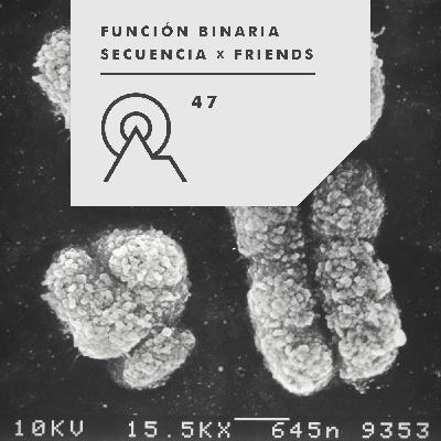 S3R47 - Secuencia X Friends - FUNCIO?N BINARIA