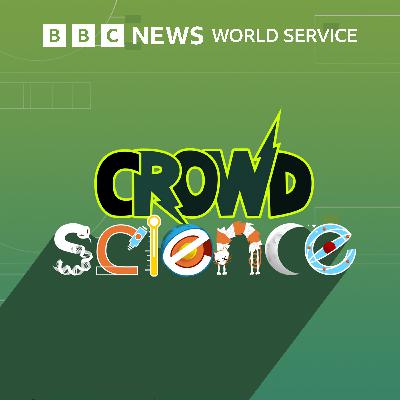 Will drinking milk help me live longer? - CrowdScience
