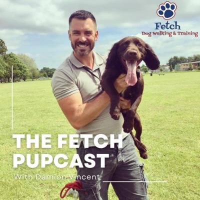 Episode 39: Leash Reactivity-A Complete Guide