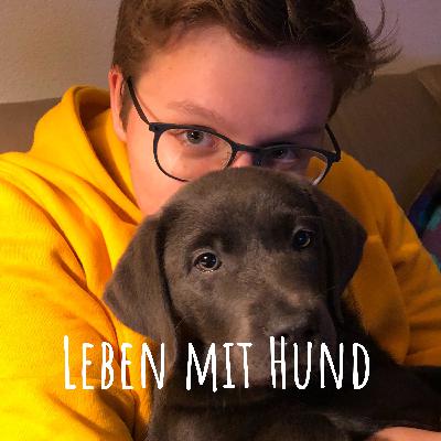 Folge 14: Beschäftigung beim Spaziergang