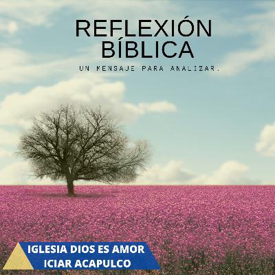 EL CAMINO LLENO DE OBSTÁCULOS (REFLEXIÓN EL CAMINO LLENO DE OBSTÁCULOS (REFLEXIÓN
