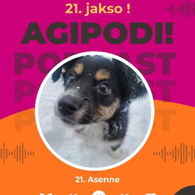 21. Asenne 21. Asenne
