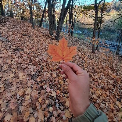 8# ¿Que fue canada para mi?