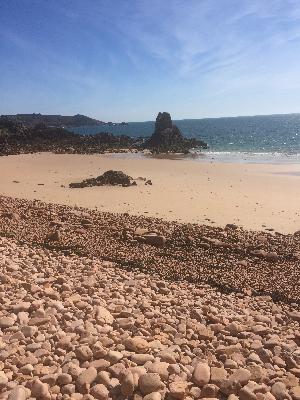 The Lady and the Bay: The Florence Boot Story