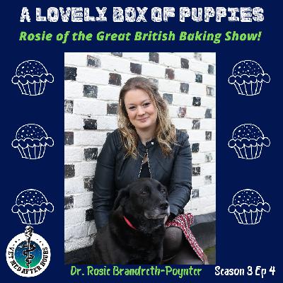 A Lovely Box of Puppies