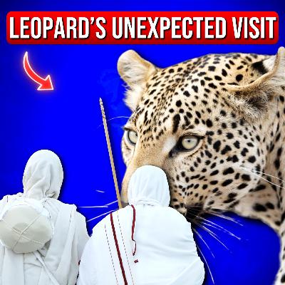 कैसे किया साध्वीजी ने खतरनाक तेंदुए का सामना? Sadhviji's Shocking Encounter With Leopards